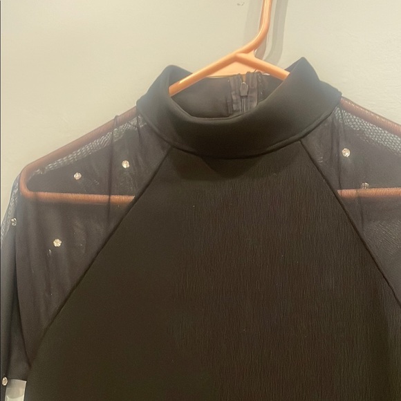 Elegant Black Dress with Sheer Sleeves - Picture 2 of 3